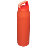 B2B_Web_PNG-The-IceFlow-Aerolight-Water-Bottle-Cap-Carry-36OZ-Rose-Quartz-Glimmer-Front_491f819c-aae2-42f1-9d3a-ba0a9e7e61a6