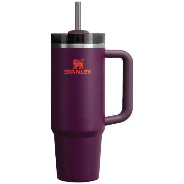 Stanley Quencher H2.O FlowState Tumbler Cup 30 OZ In Plum Purple