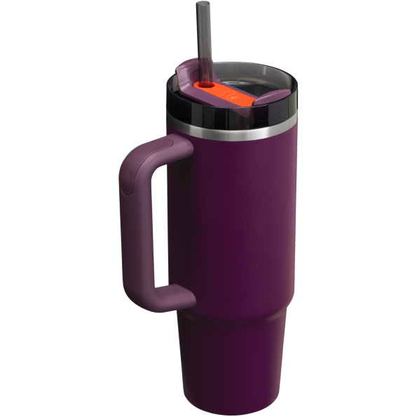 Stanley Quencher H2.O FlowState Tumbler Cup 30 OZ In Plum Purple