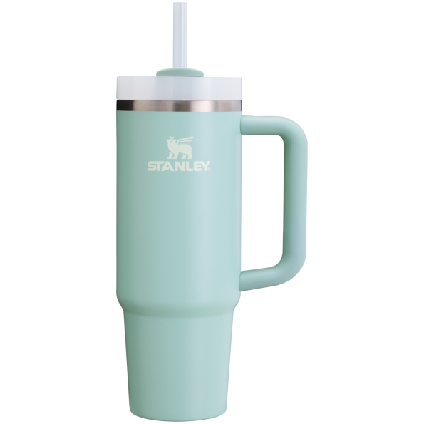 Stanley Quencher H2.O FlowState Tumbler 30 OZ in Seafoam Green