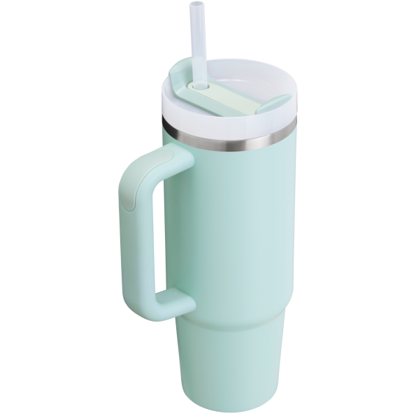 Stanley Quencher H2.O FlowState Tumbler 30 OZ in Seafoam Green