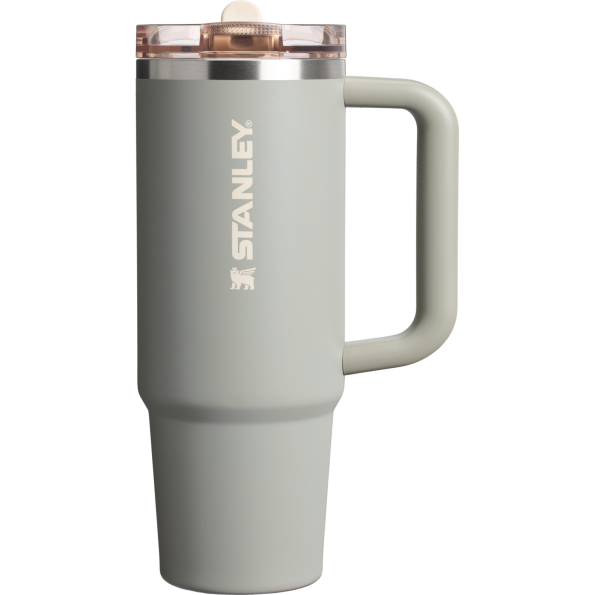 Stanley Quencher ProTour Flip Straw Tumbler Cup 30 OZ In Sage Grey