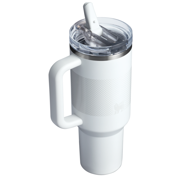 The Stanley Quencher ProTour Flip Straw Tumbler 40 OZ in Frost